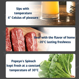 20L App Control Energy-Efficient Cooling Fridge for Model 3 & Model 3 Highland Trunk