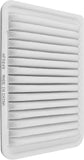 JADODE CA10171 Engine Air Filter Compatible with Camry 2007-2009 L4 2.4L, Camry 2010-2017 L4 2.5L, Venza 2009-2016 L4 2.7L PA5649 A35649 Premium Air Filter