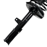 Toyota Camry 97-01 Solara 99-03 Rear Complete Strut Coil Spring Pair