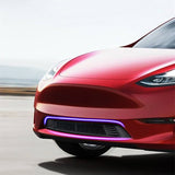 Tesla Model Y Front Bumper Insect Net Grill Cover - Protection Against Debris & Insects