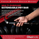 Adjustable length pry bar with pivoting head